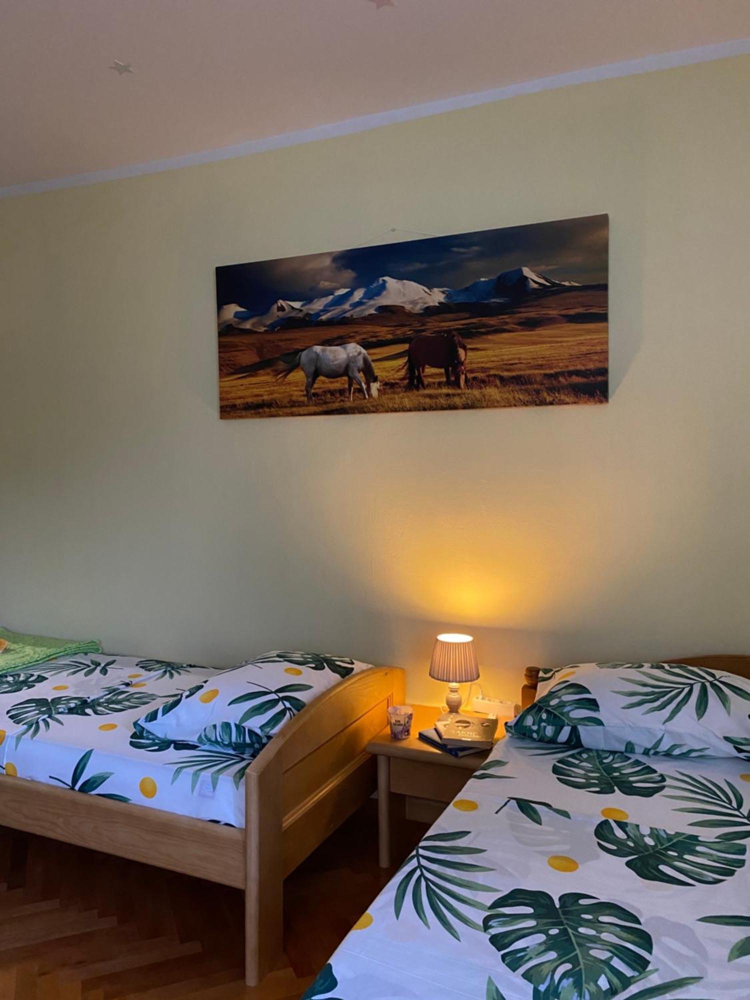Apartman Sara Плужине Экстерьер фото